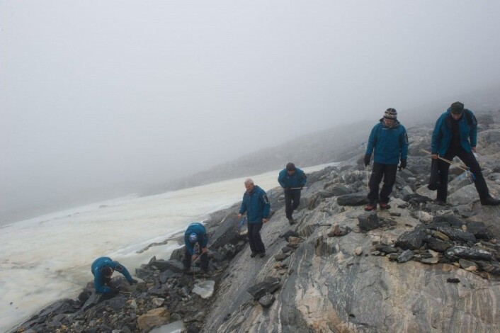 Feltarbeid og leting etter utsmeltede gjenstander ved Lendbreen i Oppland. Områdene inntil den smeltende isen blir systematisk registrert. (Foto: Johan Wildhagen, Palookaville) Feltarbeid og leting etter utsmeltede gjenstander ved Lendbreen i Oppland. Områdene inntil den smeltende isen blir systematisk registrert. (Foto: Johan Wildhagen, Palookaville)