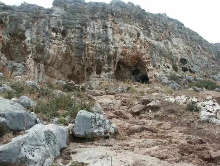 Kjevebeinet ble funnet i denne hulen i Israel. Dette er et kjent funnsted, og det har blitt funnet menneskeknokler her i flere tiår. (foto: Mina Weinstein-Evron/Haifa Uni)