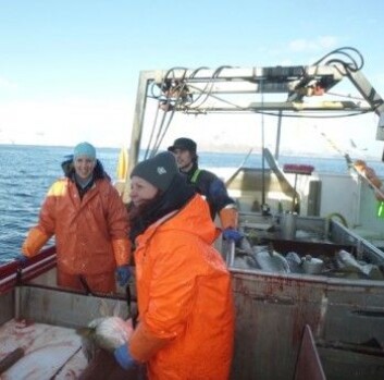 Helle Tessand Baalsrud og Sissel Jentoft på fisketur i Lofoten. (Foto: Paul R. Berg) Helle Tessand Baalsrud og Sissel Jentoft på fisketur i Lofoten. (Foto: Paul R. Berg)