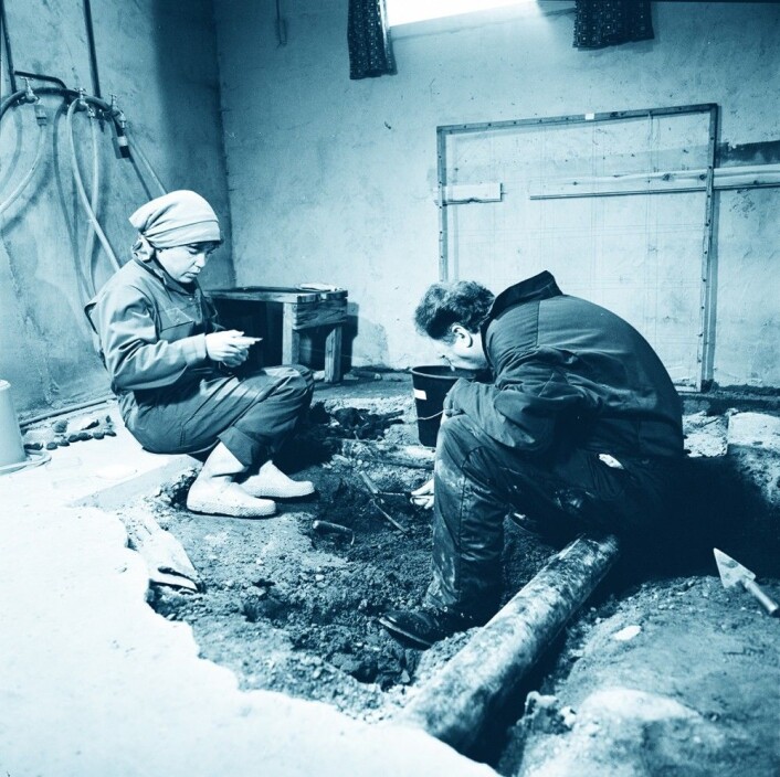 Hanne Thomsen og Rolf Lie i arbeid i 1982. Utgravingen foregikk i en kjeller på Finnøy, mellom kloakkrør. (Foto: Terje Tveit, Arkeologisk museum, Universitetet i Stavanger) Hanne Thomsen og Rolf Lie i arbeid i 1982. Utgravingen foregikk i en kjeller på Finnøy, mellom kloakkrør. (Foto: Terje Tveit, Arkeologisk museum, Universitetet i Stavanger)
