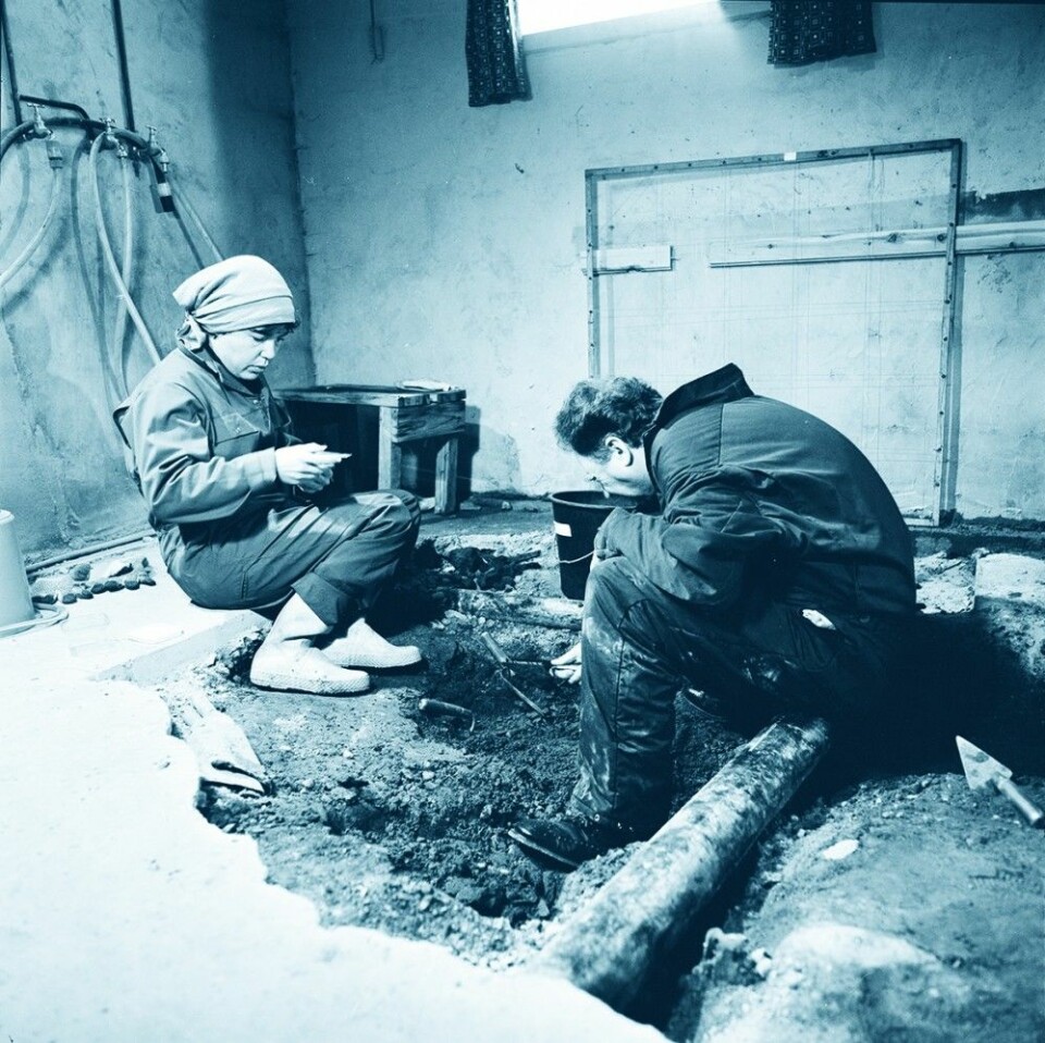 Hanne Thomsen og Rolf Lie i arbeid i 1982. Utgravingen foregikk i en kjeller på Finnøy, mellom kloakkrør. (Foto: Terje Tveit, Arkeologisk museum, Universitetet i Stavanger)