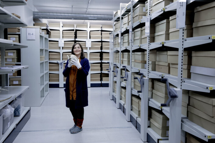 Anne Karin Hufthammer, arkeolog og førsteamanuensis ved Avdeling for naturhistorie, Universitetsmuseet i Bergen. (Foto: Paul S. Amundsen) Anne Karin Hufthammer, arkeolog og førsteamanuensis ved Avdeling for naturhistorie, Universitetsmuseet i Bergen. (Foto: Paul S. Amundsen)