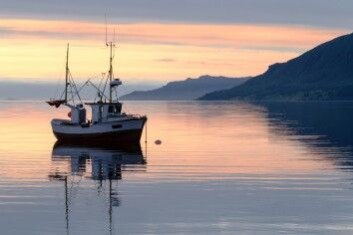 Matfisk utgjør en milliardindustri for dansk fiskeri i Nordsjøen. Kvotene blir fastsatt etter hvor stor bestanden av artene anslås å være. (Foto: Robert Neumann / Shutterstock / NTB scanpix) Matfisk utgjør en milliardindustri for dansk fiskeri i Nordsjøen. Kvotene blir fastsatt etter hvor stor bestanden av artene anslås å være. (Foto: Robert Neumann / Shutterstock / NTB scanpix)