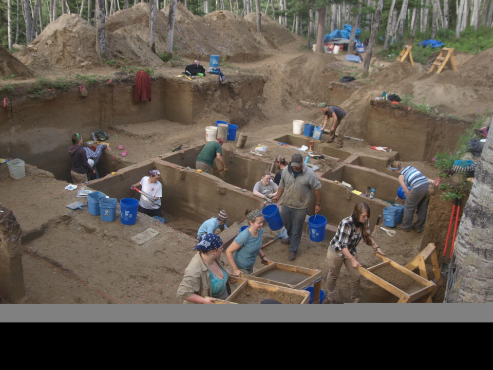 Utgravningene i Alaska i 2013. (Bilde: Ben Potter)