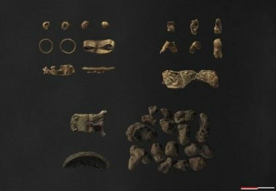 Det er de små ringene, øverst til venstre, som kanskje kan ha tilhørt en kvinnedrakt. (Foto: Moesgård Museum)