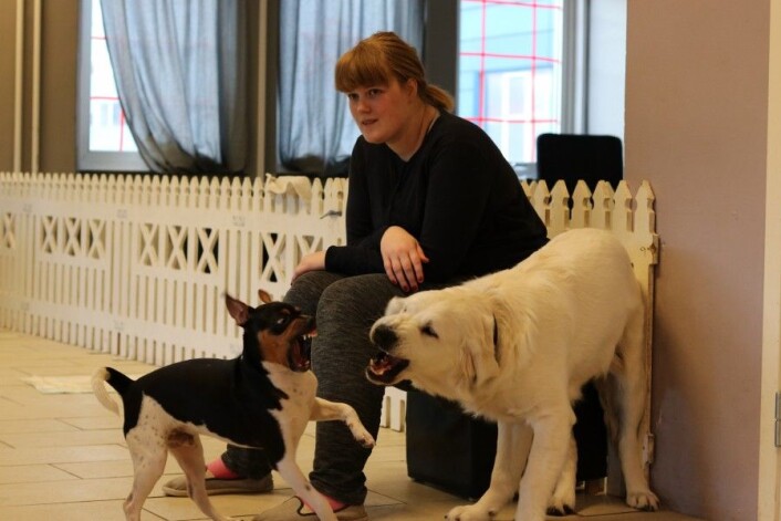 Som i andre barnehager blir det god tid til lek. Jenny Hildrum følger med på at ingen går over streken. Som i andre barnehager blir det god tid til lek. Jenny Hildrum følger med på at ingen går over streken.
