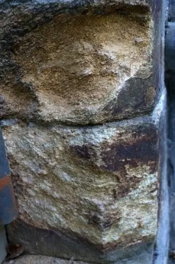 Dette nærbildet viser Grytdal-stein som nærmest ruster i filler. Geolog Per Stormyr mente at denne steintypen aldri skulle vært brukt som byggestein. (Foto: Nancy Bazilchuk, NTNU)