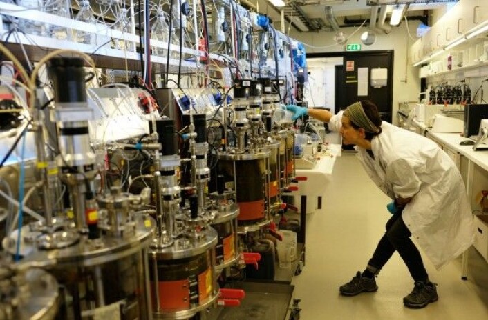 NIBIO-forsker Linn Solli har utført forsøkene ved biogasslaboratoriet på Vollebekk i Ås. (Foto: Kathrine Torday Gulden) NIBIO-forsker Linn Solli har utført forsøkene ved biogasslaboratoriet på Vollebekk i Ås. (Foto: Kathrine Torday Gulden)