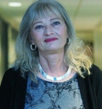 Hilde E. Pape ved Folkehelseinstituttet forsker på rusmiddelbruk. (Foto: Ola Gamst Sæther) Hilde E. Pape ved Folkehelseinstituttet forsker på rusmiddelbruk. (Foto: Ola Gamst Sæther)