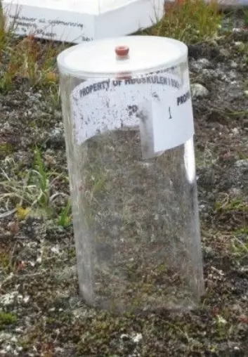 Disse plastkamrene brukte forskerne for å måle mengden med metan rundt Styggedalsbreen. (Foto: Alejandro Mateos-Rivera)