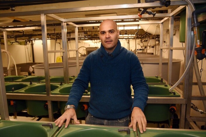 Førsteamanuensis Enrique Blanco Gonzales ved UiAs institutt for naturvitenskapelige fag har sammen med en nederlandsk kollega publisert den første oversiktsartikkelen om leppefiskeriet i Norge. (Foto: Jan Arve Olsen / UiA) Førsteamanuensis Enrique Blanco Gonzales ved UiAs institutt for naturvitenskapelige fag har sammen med en nederlandsk kollega publisert den første oversiktsartikkelen om leppefiskeriet i Norge. (Foto: Jan Arve Olsen / UiA)