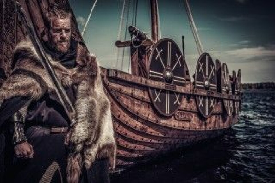 Vikingene var ikke redde for å vente til det perfekte tidspunktet for et angrep. (Foto: Nejron Photo / Shutterstock / NTB scanpix)
