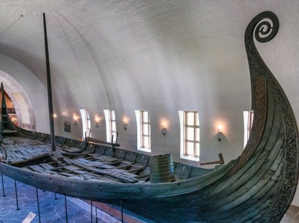 Vikingenes skip stakk ikke særlig dypt ned i vannet. Derfor kunne de seile nærmere land og lettere overraske folk i området. Her et skip fra Vikingskipsmuseet i Oslo. (Foto: Colourbox)