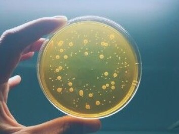Bakterier kan mutere slik at de blir resistente og kan overleve en antibiotikakur. (Foto: KuLouKu / Shutterstock / NTB scanpix) Bakterier kan mutere slik at de blir resistente og kan overleve en antibiotikakur. (Foto: KuLouKu / Shutterstock / NTB scanpix)
