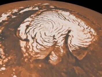 Vann er det massevis av på Mars, men stort sett bare i form av is. Ved polene er isen synlig. (Foto: NASA) Vann er det massevis av på Mars, men stort sett bare i form av is. Ved polene er isen synlig. (Foto: NASA)