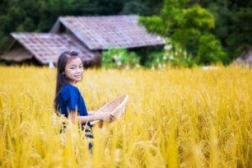 Flere steder i verden har allerede utfordringer på grunn av klimaendringene, med blant annet ekstreme temperaturer og oversvømmelser. (Foto: anekoho / Shutterstock / NTB scanpix) Flere steder i verden har allerede utfordringer på grunn av klimaendringene, med blant annet ekstreme temperaturer og oversvømmelser. (Foto: anekoho / Shutterstock / NTB scanpix)