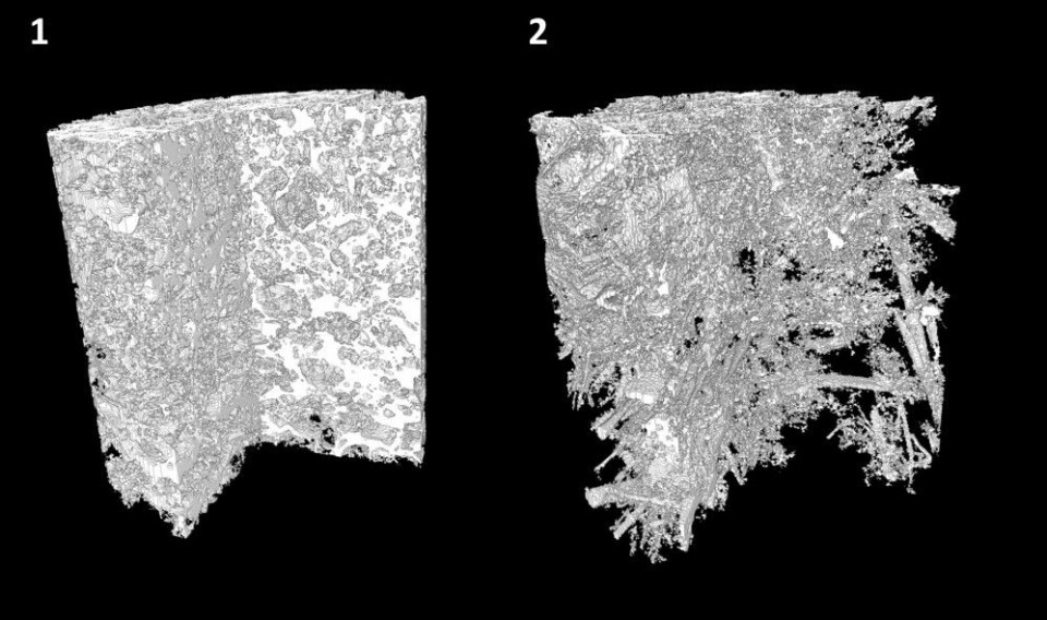 Ved å CT-skanne uforstyrrede prøver av leirjord (t.v.) og sandjord fra forsøksfeltet, fikk Torsten Starkloff og kollegene 3D-bilder som tydelig viste porestrukturen til hver enkel prøve. (Foto: Torsten Starkloff)