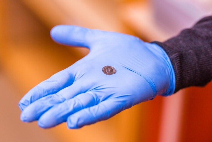 En firkantet brakteat fra Håkon Håkonssons tid (1217–63). (Foto: Julie Gloppe Solem, NTNU) En firkantet brakteat fra Håkon Håkonssons tid (1217–63). (Foto: Julie Gloppe Solem, NTNU)