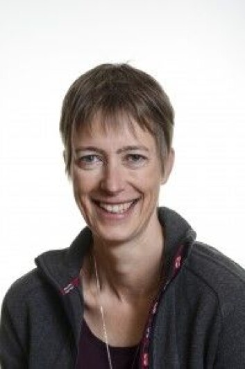 Forsker og lagleder Susanne Buiter ved Norges geologiske undersøkelse. (Foto: NGU) Forsker og lagleder Susanne Buiter ved Norges geologiske undersøkelse. (Foto: NGU)
