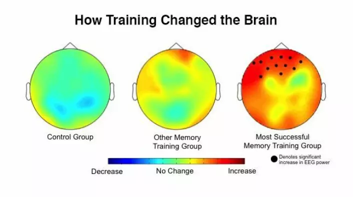 Illustrasjonen viser, ifølge forskerne, den økte aktiviteten i prefrontal cortex hos de som hadde øvd på <em>Dual N-back</em>-øvelsen sammenlignet med de andre forsøksgruppene. [Illustrasjon: Kara J. Blacker/JHU]