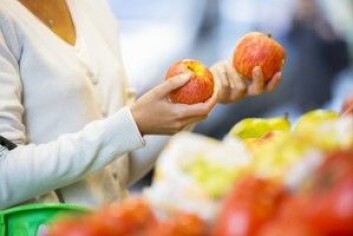 Skal man velge det konvensjonelle eller økologiske eplet? Og er det for miljøet eller for kroppen? (Foto: LDprod / Shutterstock / NTB scanpix) Skal man velge det konvensjonelle eller økologiske eplet? Og er det for miljøet eller for kroppen? (Foto: LDprod / Shutterstock / NTB scanpix)
