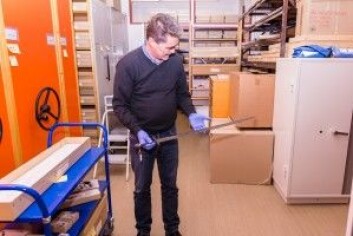 Førsteamanuensis Jon Anders Risvaag med sverdet som ble funnet i Steinkjer og som kanskje skal en tur til USA. (Foto: Julie Gloppe Solem, NTNU) Førsteamanuensis Jon Anders Risvaag med sverdet som ble funnet i Steinkjer og som kanskje skal en tur til USA. (Foto: Julie Gloppe Solem, NTNU)