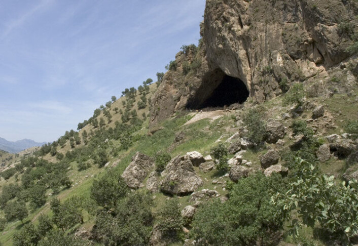 Flere neandertaler-skjeletter har blitt funnet i denne hulen i Irak. (Foto: JosephV/CC BY-SA 3.0) Flere neandertaler-skjeletter har blitt funnet i denne hulen i Irak. (Foto: JosephV/CC BY-SA 3.0)