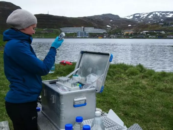 Modellene må sammenliknes med faktiske målinger for å finne ut om de er til å stole på. Her tar NILU-forsker Ingjerd Sunde Krogseth vannprøver ved bredden av Storvannet like ved Hammerfest. (Foto: Guttorm Christensen/Akvaplan-niva)