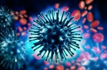 Influensavirus består blant annet av noen små molekyler som kalles hemagglutinin, som sitter utenpå selve viruset som små blomster. Det er den øverste delen immunforsvaret angriper. (Illustrasjon: Liya Graphics / Shutterstock / NTB scanpix) Influensavirus består blant annet av noen små molekyler som kalles hemagglutinin, som sitter utenpå selve viruset som små blomster. Det er den øverste delen immunforsvaret angriper. (Illustrasjon: Liya Graphics / Shutterstock / NTB scanpix)