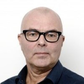 Kjell G. Salvanes. (Foto: NHH) Kjell G. Salvanes. (Foto: NHH)