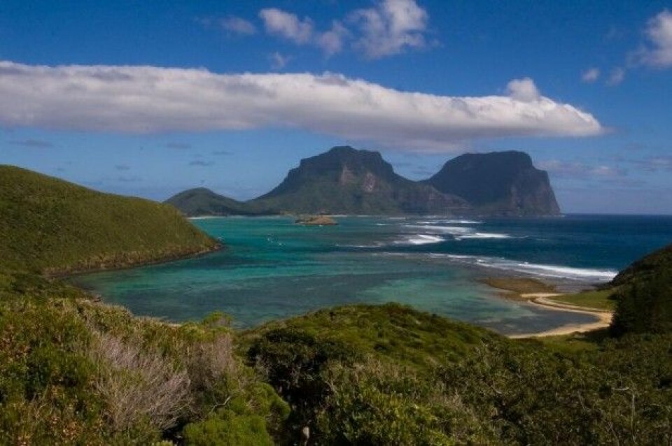 Paradisøya Lord Howe. (Foto: Fanny Schertzer)