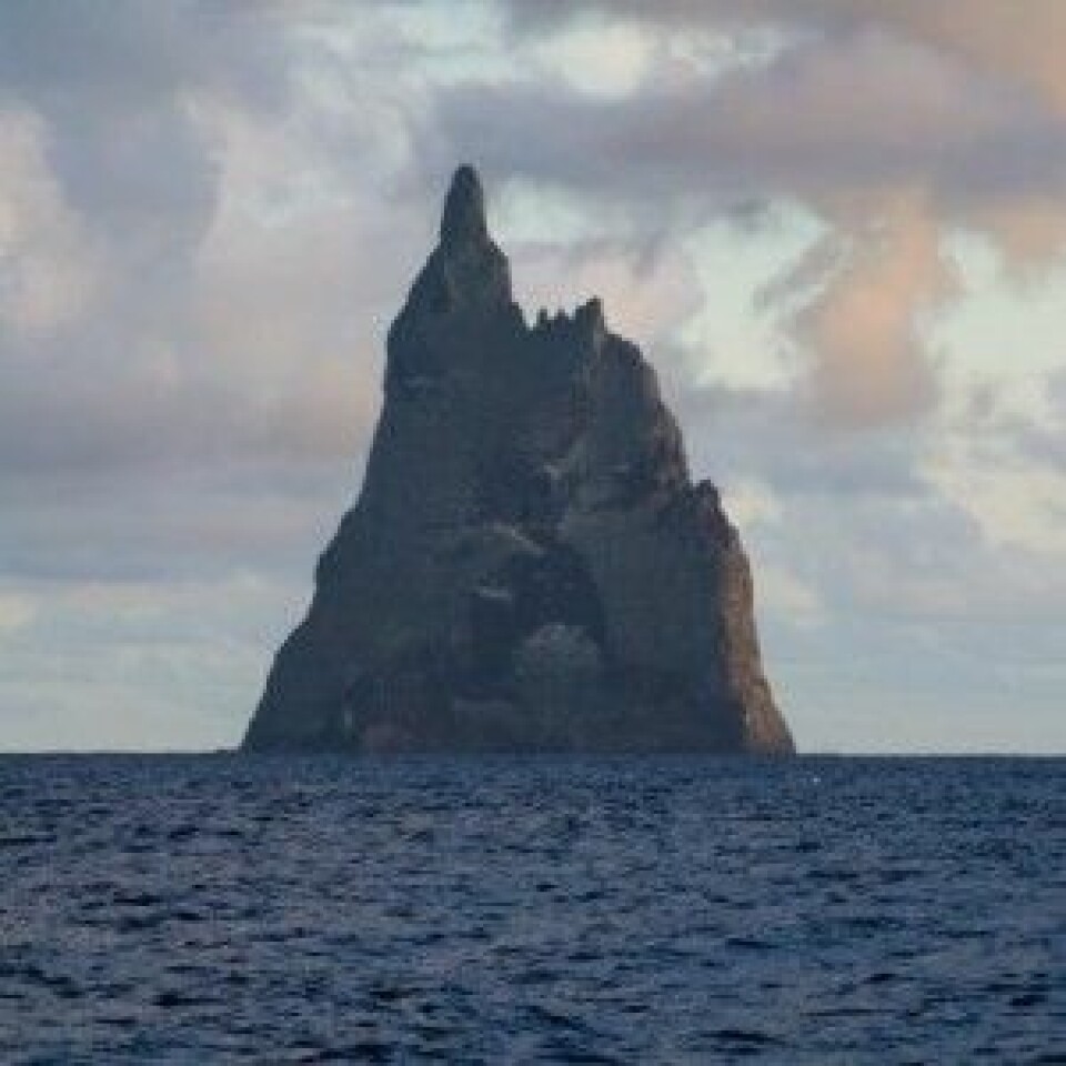 Her er det klippeøya Ball’s Pyramid der kjempeinsektet har overlevd. (Foto: Fanny Schertzer)