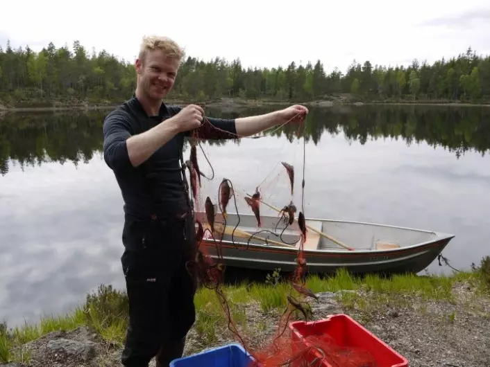 Forsker Hans Fredrik Veiteberg Braaten fisker etter gjedde og abbor. (Foto: Eirik Fjeld / NIVA)