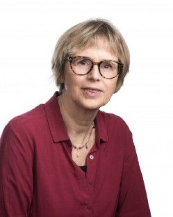 – Barnehageansatte bør være nysgjerrige og ikke redde for å stille spørsmål til flyktningeforeldre, sier Kirsti Tveitereid. (Foto: Hege Mathisen) – Barnehageansatte bør være nysgjerrige og ikke redde for å stille spørsmål til flyktningeforeldre, sier Kirsti Tveitereid. (Foto: Hege Mathisen)