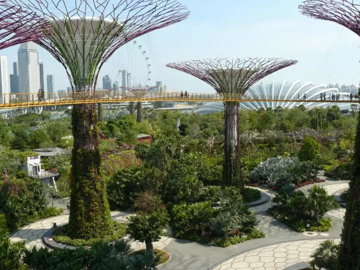 <em>Gardens by the Bay</em> i Singapore. (Foto: Botanic Gardens Conservation International)