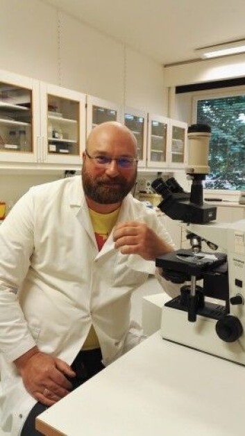Biolog og parasittforsker Øyvind Øverli tror at toksoplasmose rammer folkehelsen hardere enn vi tror. (Foto: Veterinærhøgskolen, NMBU) Biolog og parasittforsker Øyvind Øverli tror at toksoplasmose rammer folkehelsen hardere enn vi tror. (Foto: Veterinærhøgskolen, NMBU)