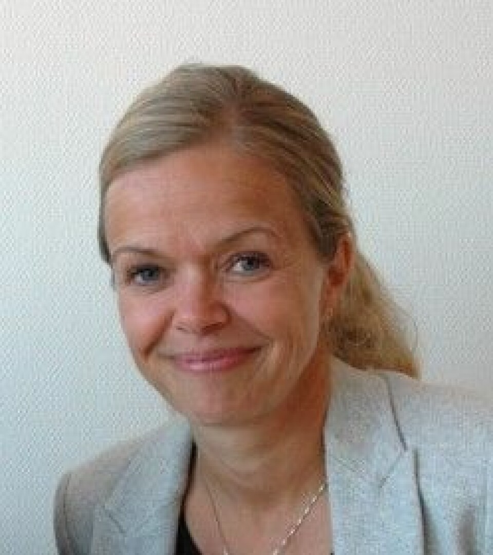 Annette Hessen Bjerke er forsker ved Høgskolen i Oslo og Akershus. (Foto: HiOA)