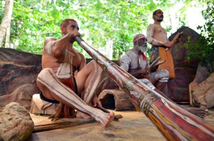 Didgeridoo er et langt trerør som man blåser gjennom. Det er utbredt som musikkinstrument blant aboriginene i Australia. (Foto: ChameleonsEye / Shutterstock / NTB scanpix) Didgeridoo er et langt trerør som man blåser gjennom. Det er utbredt som musikkinstrument blant aboriginene i Australia. (Foto: ChameleonsEye / Shutterstock / NTB scanpix)
