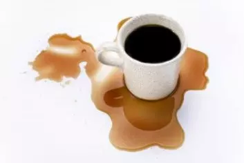 Kaffe er særlig utsatt for skvulpinger, og risikoen for å søle er derfor høy når man går med en kopp. Ved å gå baklengs endrer man rytmen, og kaffen skvulper derfor mindre. (Foto: Ossile / Shutterstock / NTB scanpix)