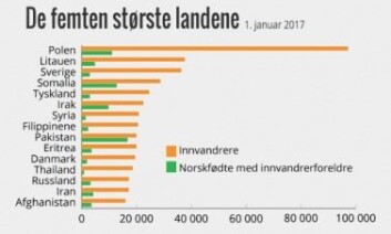 Polakker er i dag den klart største innvandrergruppen i Norge. Deretter følger litauere, svensker og somaliere. Pakistanere har vært her lenge og har flest etterkommere. (Tall og grafikk fra SSB) Polakker er i dag den klart største innvandrergruppen i Norge. Deretter følger litauere, svensker og somaliere. Pakistanere har vært her lenge og har flest etterkommere. (Tall og grafikk fra SSB)