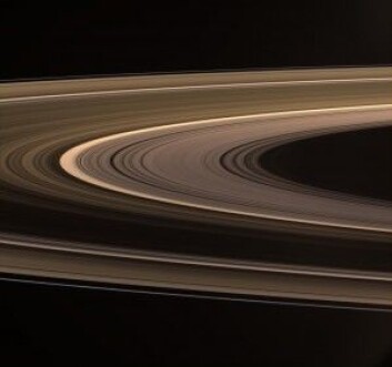 Saturns ringer er kanskje et av de vakreste fenomenene i vår del av verdensrommet. (Foto: NASA/JPL/Space Science Institute) Saturns ringer er kanskje et av de vakreste fenomenene i vår del av verdensrommet. (Foto: NASA/JPL/Space Science Institute)