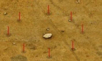 Samlingsplassen ved Vasagård er datert til 2900–2800 f.v.t. og har vært omgitt av palisader. Innenfor palisadene er funnet stolpehull etter sirkulære stolpekretser som tolkes som kulthus. (Foto: Michael S. Thorsen) Samlingsplassen ved Vasagård er datert til 2900–2800 f.v.t. og har vært omgitt av palisader. Innenfor palisadene er funnet stolpehull etter sirkulære stolpekretser som tolkes som kulthus. (Foto: Michael S. Thorsen)