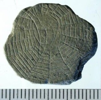 Arkeologene har funnet ti spindelvevssteiner. (Foto: René Laursen, Bornholms Museum) Arkeologene har funnet ti spindelvevssteiner. (Foto: René Laursen, Bornholms Museum)