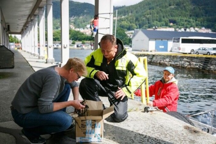 Jan Erik Andersen og sonen Tobias har hytte på Røvær, men bur i Bergen. Dei tok hummaren med i båten heim. Forskar Nina Sandlund tok imot. (Foto: Erlend A. Lorentzen / Havforskingsinstituttet) Jan Erik Andersen og sonen Tobias har hytte på Røvær, men bur i Bergen. Dei tok hummaren med i båten heim. Forskar Nina Sandlund tok imot. (Foto: Erlend A. Lorentzen / Havforskingsinstituttet)