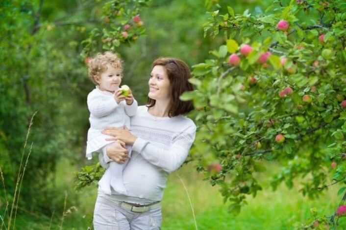 Risikoen for en for tidlig fødsel, undervektig barn eller et barn med misdannelser var 5–9 prosent høyere for kvinner som var utsatt for store mengder plantevernmidler. (Foto: FamVeld / Shutterstock / NTB scanpix) Risikoen for en for tidlig fødsel, undervektig barn eller et barn med misdannelser var 5–9 prosent høyere for kvinner som var utsatt for store mengder plantevernmidler. (Foto: FamVeld / Shutterstock / NTB scanpix)