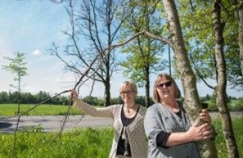 Forskerne Gunn Mari Strømeng og Venche Talgø ved NIBIO. (Foto: NIBIO) Forskerne Gunn Mari Strømeng og Venche Talgø ved NIBIO. (Foto: NIBIO)