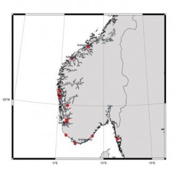 Her er kjempegeleklumpene blitt observert langs kysten av Norge og Sverige. I tillegg er det observert en utenfor Alaska og en utenfor Tyrkia. Her er kjempegeleklumpene blitt observert langs kysten av Norge og Sverige. I tillegg er det observert en utenfor Alaska og en utenfor Tyrkia.