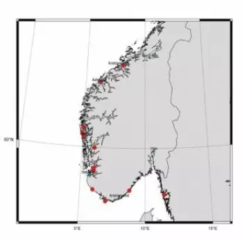 Her er kjempegeleklumpene blitt observert langs kysten av Norge og Sverige. I tillegg er det observert en utenfor Alaska og en utenfor Tyrkia.