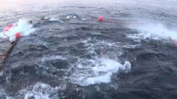 Slik så det ut da M/S Hillersøy tok hele den norske makrellstørjekvota i ei not i 2016. (Foto: Øyvind Tangen / Havforskningsinstituttet) Slik så det ut da M/S Hillersøy tok hele den norske makrellstørjekvota i ei not i 2016. (Foto: Øyvind Tangen / Havforskningsinstituttet)