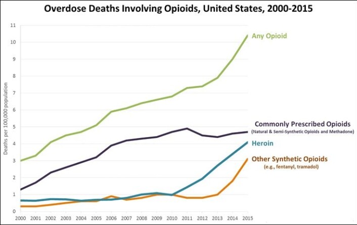 Stadig flere amerikanere dør av en overdose opioider. Opioider kan være alt fra heroin til legemidler med morfin. Nesten halvparten av dødsfallene skyldes reseptbelagte medisiner. (Illustrasjon: Centers for Disease Control and Prevention, hentet fra <a href="https://commons.wikimedia.org/wiki/File:Overdose_Deaths_Involving_Opioids,_United_States,_2000-2015.jpg">Wikimedia Commons</a>) Stadig flere amerikanere dør av en overdose opioider. Opioider kan være alt fra heroin til legemidler med morfin. Nesten halvparten av dødsfallene skyldes reseptbelagte medisiner. (Illustrasjon: Centers for Disease Control and Prevention, hentet fra <a href="https://commons.wikimedia.org/wiki/File:Overdose_Deaths_Involving_Opioids,_United_States,_2000-2015.jpg">Wikimedia Commons</a>)